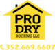 PRO DRY Roofing LLC Logo